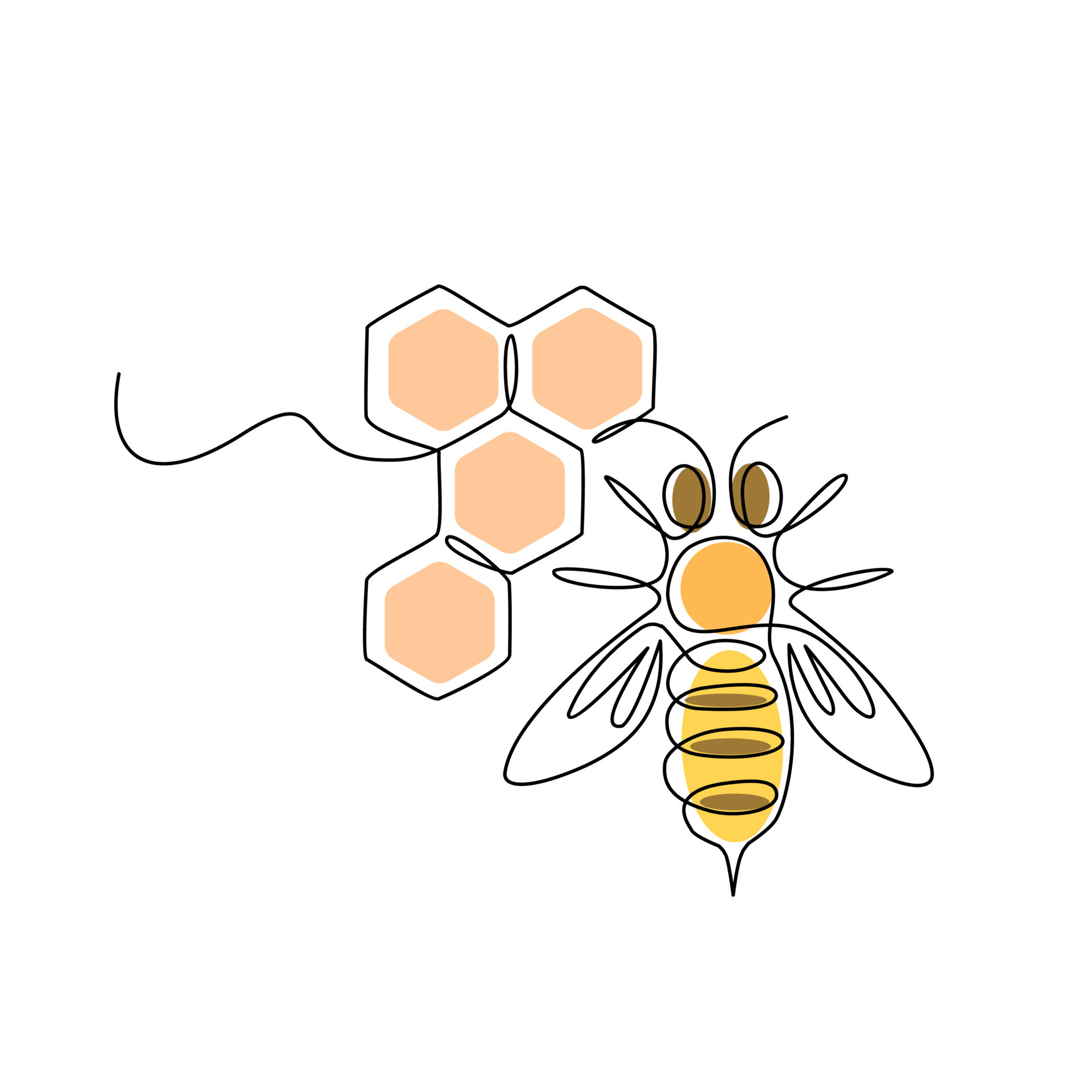 Single line drawing of cute bee and honey for product identity. Honey