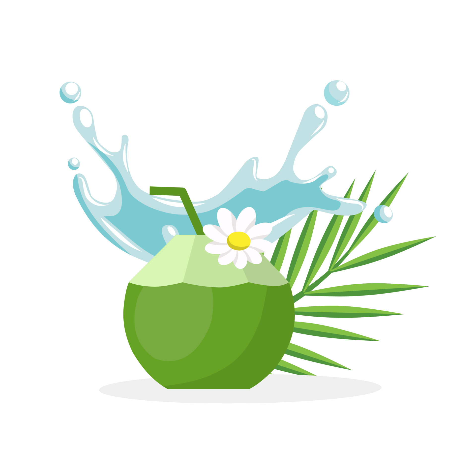 Fresh coconut juice, with coconut water splash and leaves, vector