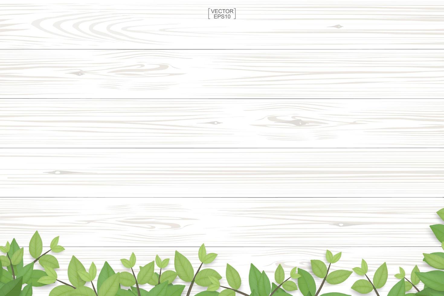 Wood texture background with green leaves. Vector illustration.