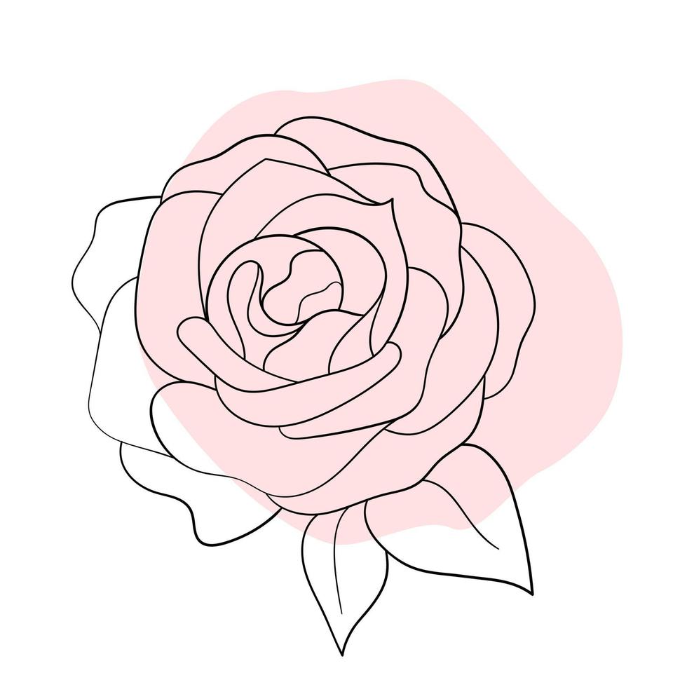 línea negra ilustración gráfica flor rosa con manchas de colores vector