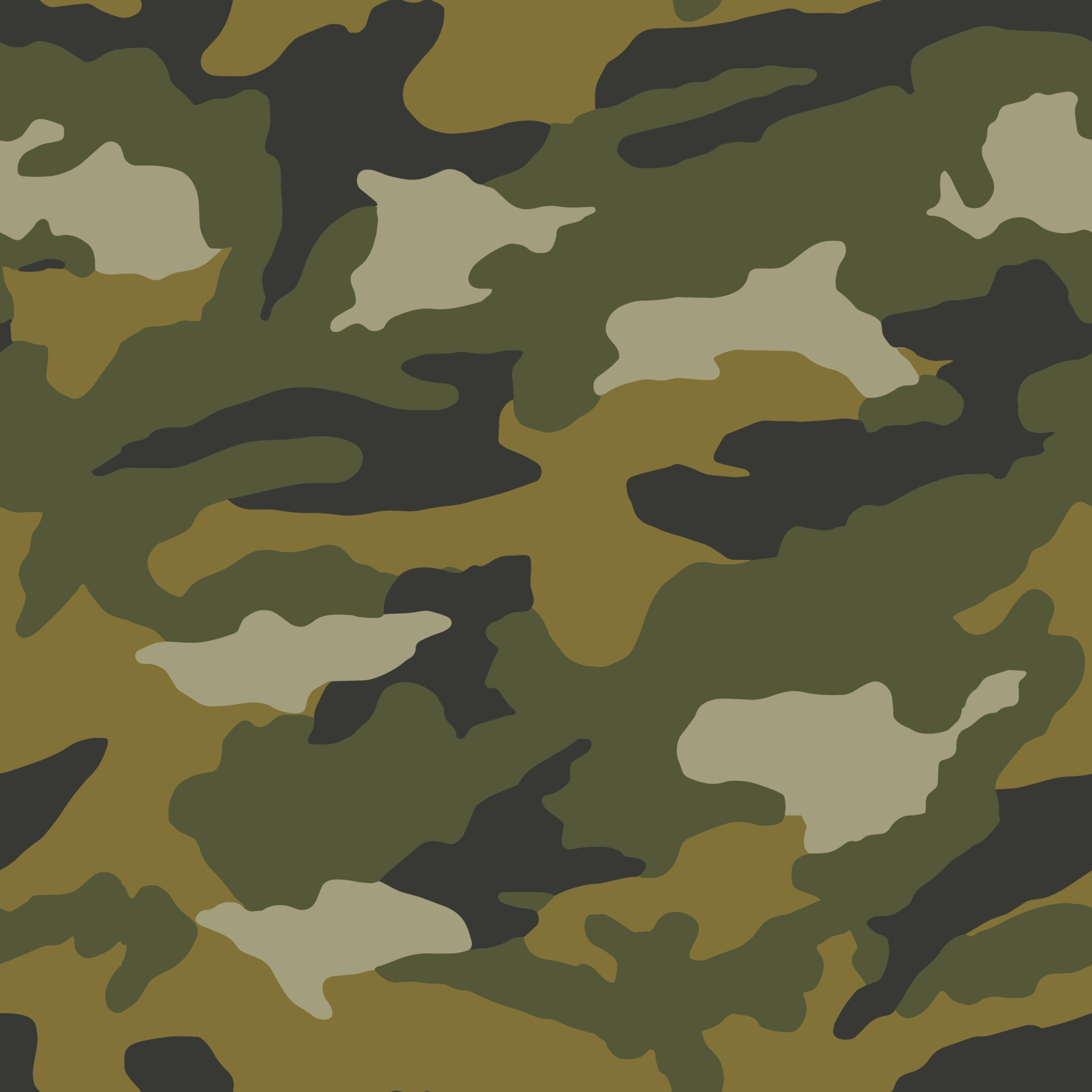 Camouflage pattern background classic clothing Vector Image