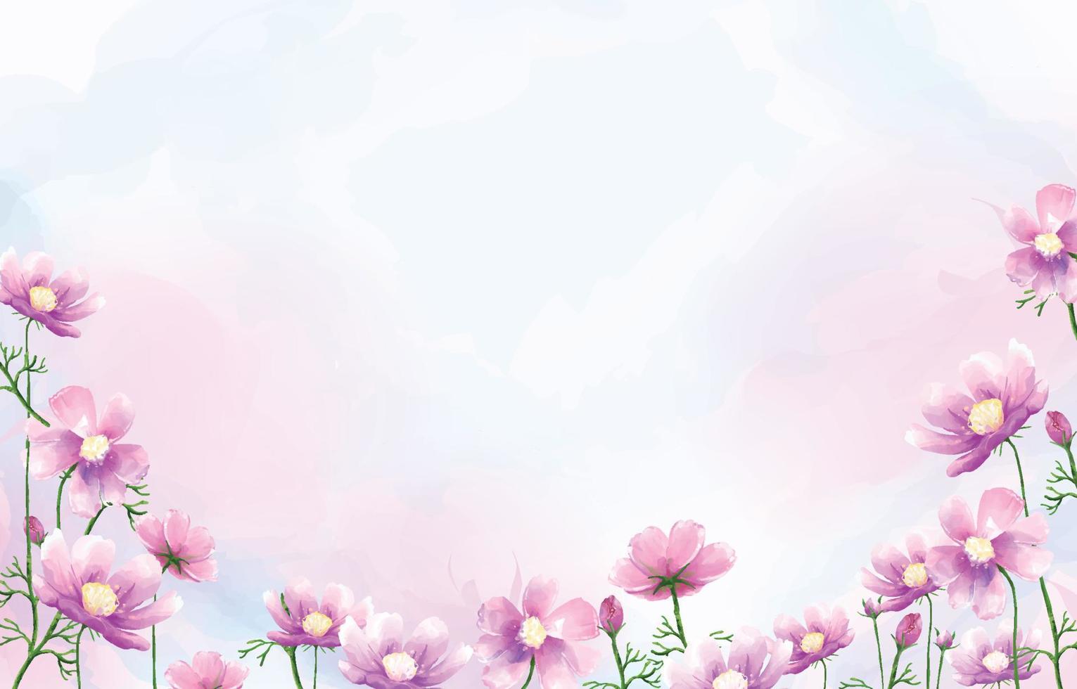 Cosmos Flower Background in Watercolor vector