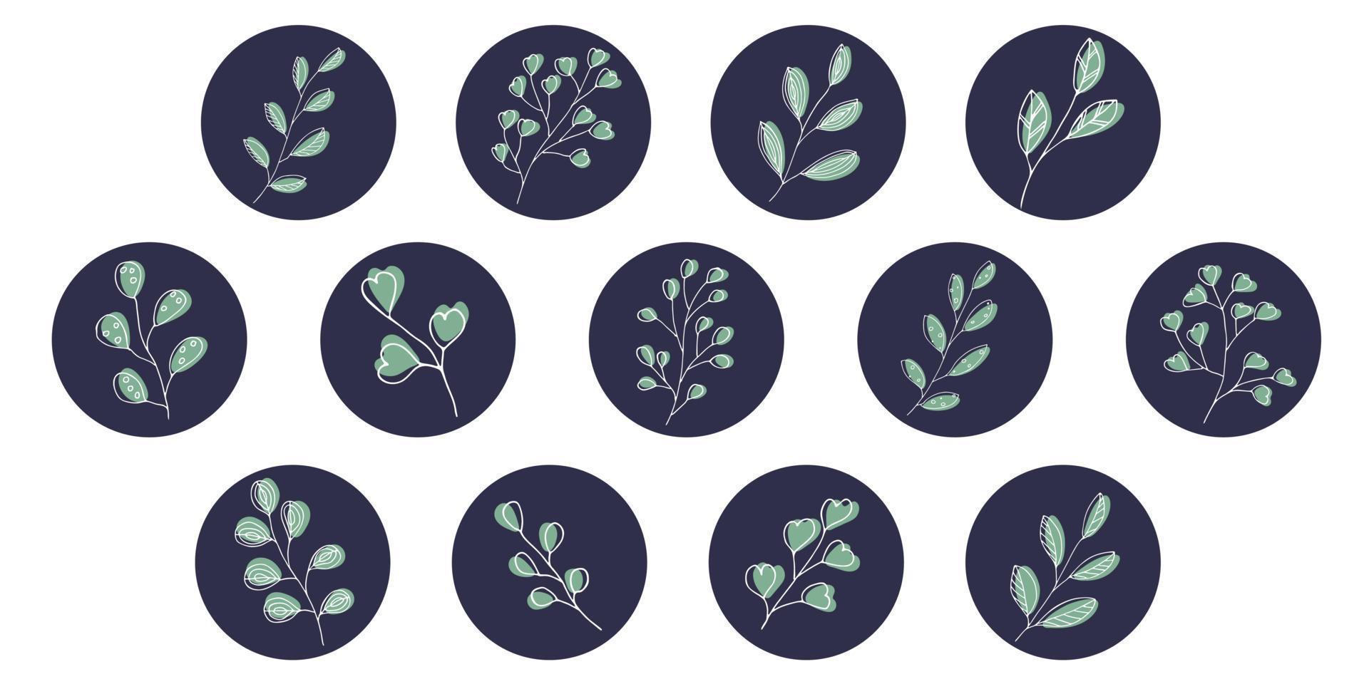 Vector set of icons and emblems for social media story highlight covers. Design templates for bloggers, photographers and designers. Abstract minimal circle backgrounds with nature leaves.