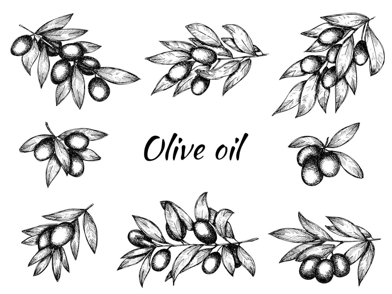 Vector sketch of olive branch. Hand drawn outline clipart set. Eco food illustration isolated on white background. For print, web, design, decor, logo.