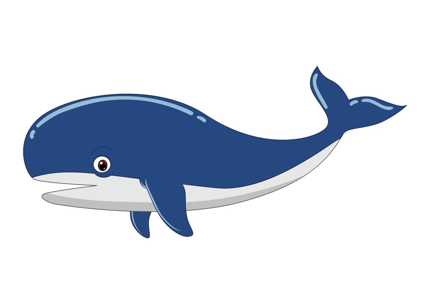 Cartoon whale isolated on white background. Vector illustration on blue whale