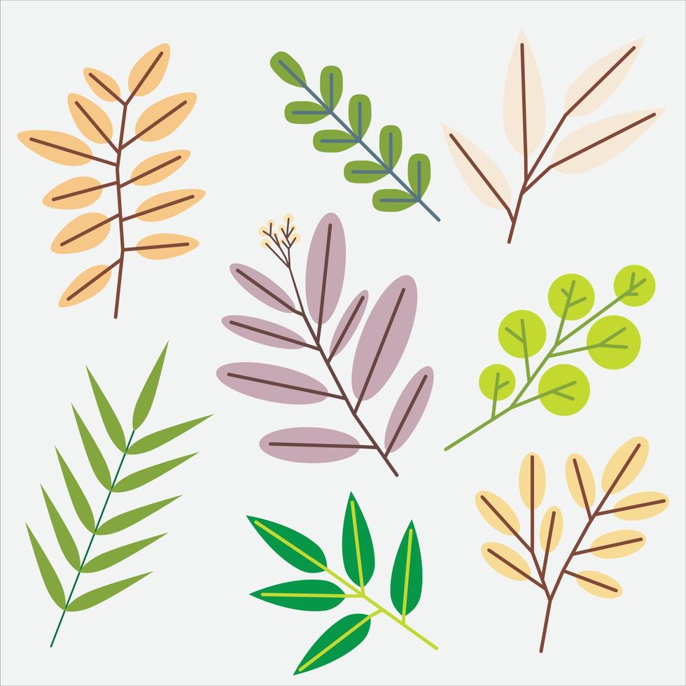 simplicity floral leaf drawing flat design collection. vector