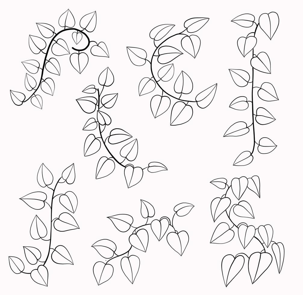 Simplicity ivy freehand drawing flat design collection. vector