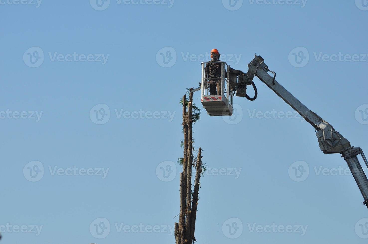 Unrecognisable gardener pruning a tree photo