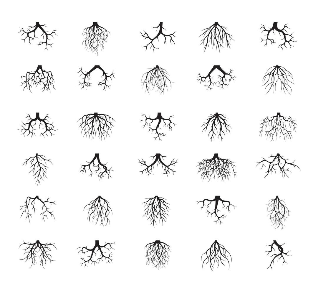 establecer raíces negras. ilustración vectorial vector