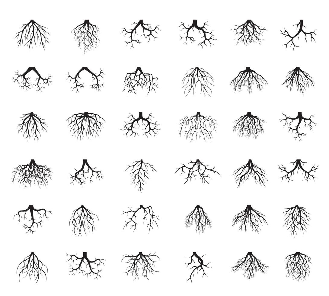 Set black Roots. Vector Illustration.