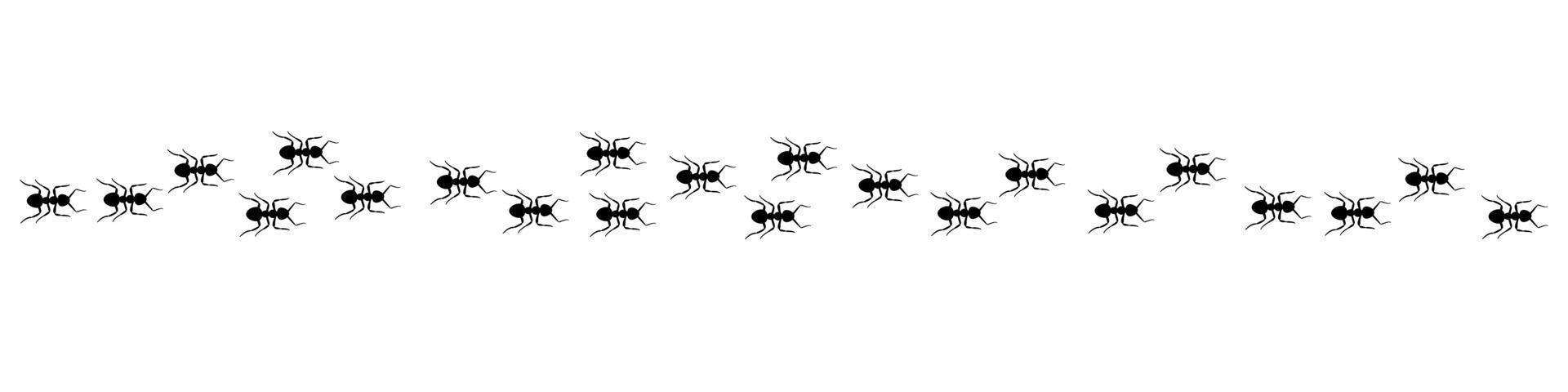 rastro de hormigas una línea de hormigas obreras marchando en busca de comida ilustración vectorial banner horizontal camino de hormigas columna trabajo en equipo trabajo duro metáfora siluetas de insectos negros viajando aislado vector