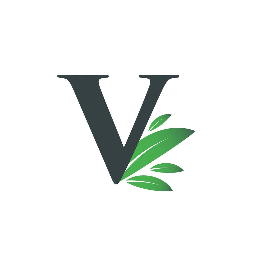 Initial Letter V Leaf Logo vector