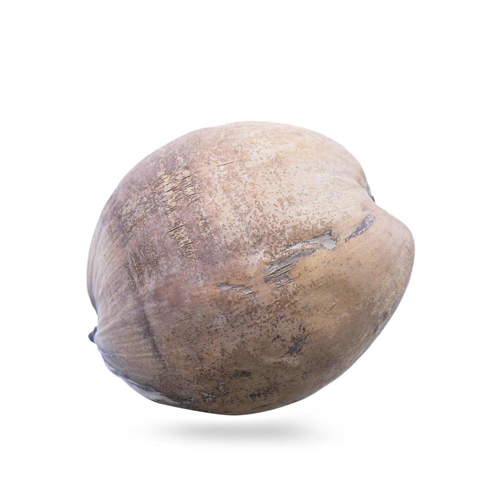 Mature coconut close-up isolated on white background with Clipping Path separate with black shadows. photo
