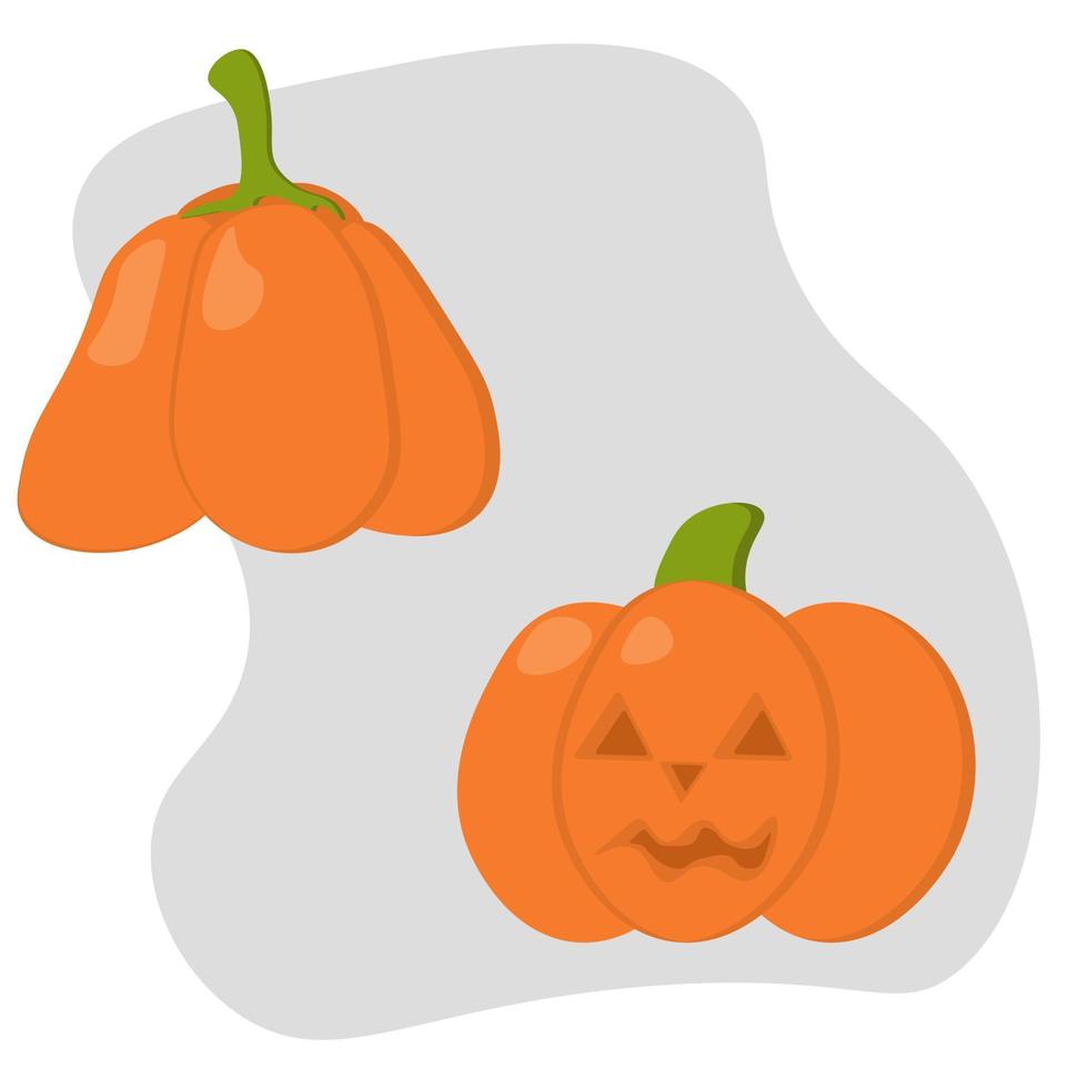 Two bright pumpkins of different shapes, pumpkin facing Halloween vector