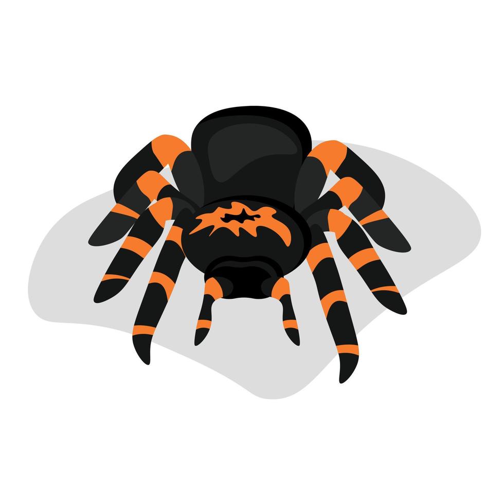 cartoon style tarantula spider, dark arachnid with bright orange stripes vector