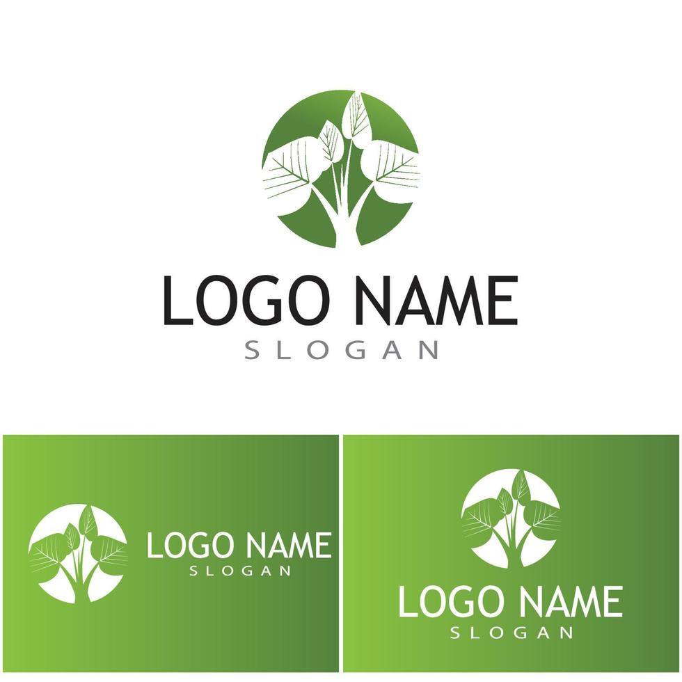 Logos of green Tree leaf ecology nature element vector