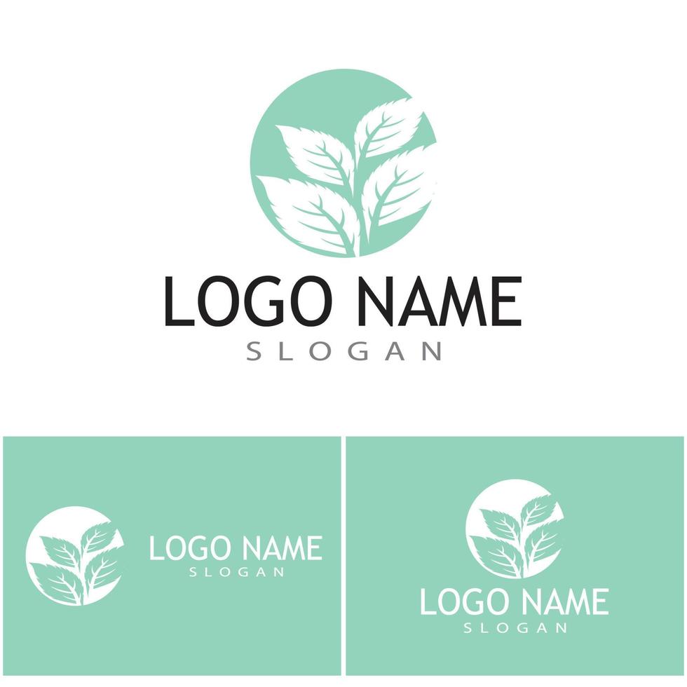 Mint leaves flat vector color icon template illustration design