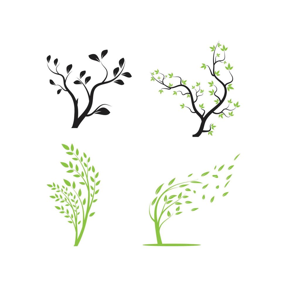 branch tree vector illustration summer clipart autumn clipart nature forest