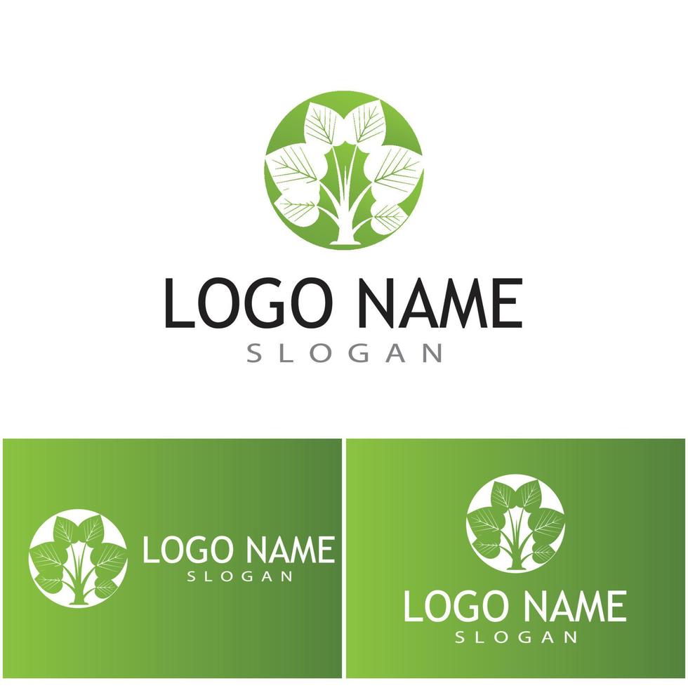 logotipos de vector de elemento de naturaleza de ecología de hoja de árbol verde