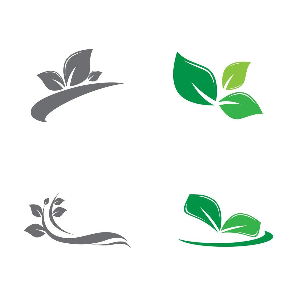 Leaf icon Vector Illustration design Logo template