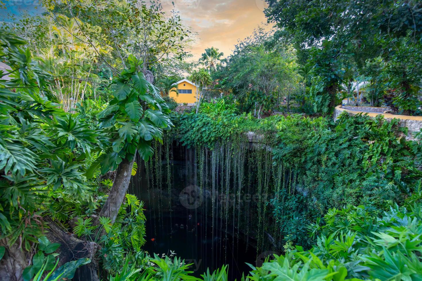 cenote ik kil ubicado en el centro norte de la península de yucatán, una parte del parque arqueológico ik kil cerca de chichén itzá foto