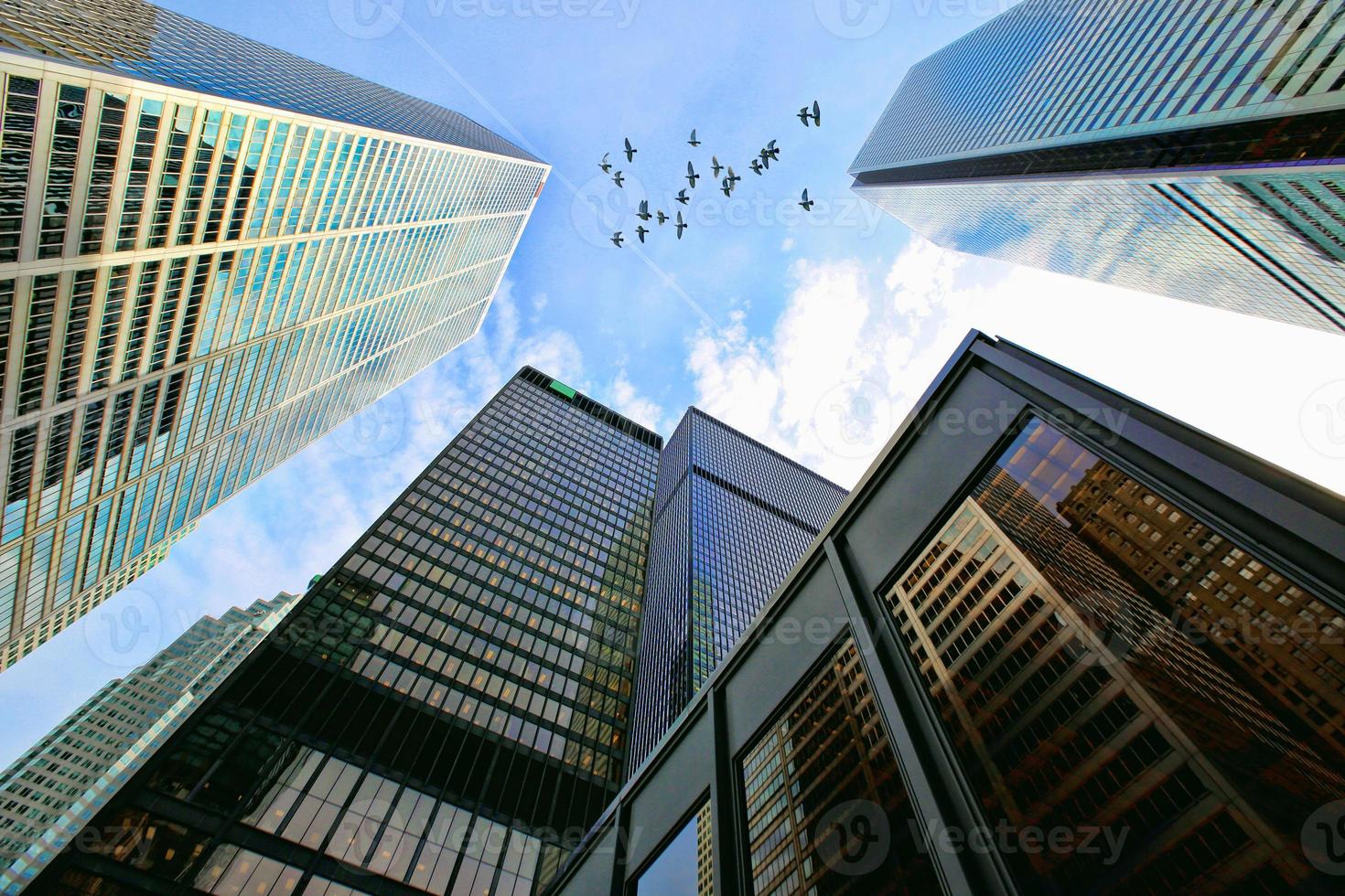Scenic Toronto financial district skyline and modern architecture skyline photo