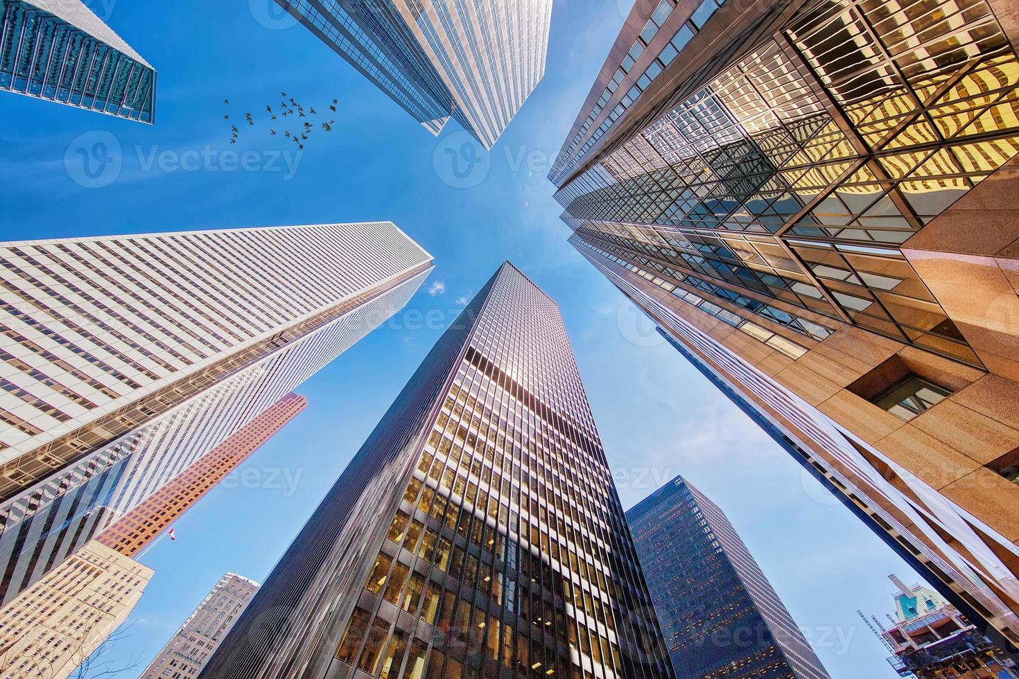 Scenic Toronto financial district skyline and modern architecture skyline photo