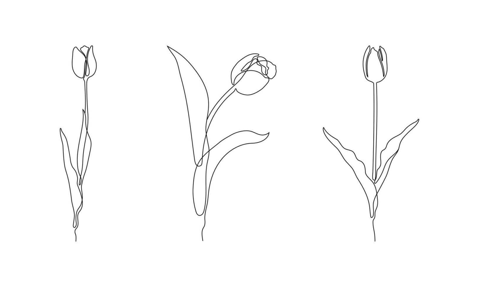flowers illustration in one line art style. continuous drawing in vector best used for icon, wall art prints, posters, magazine, postcard, etc.
