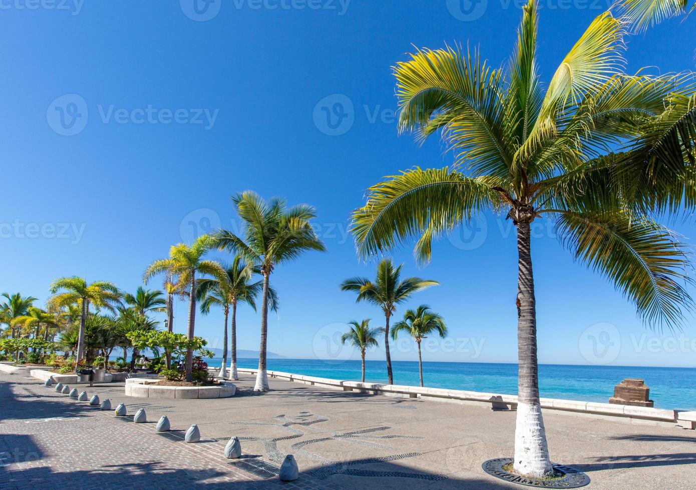 Famous Puerto Vallarta sea promenade, El Malecon, with ocean lookouts, beaches, scenic landscapes hotels and city views photo