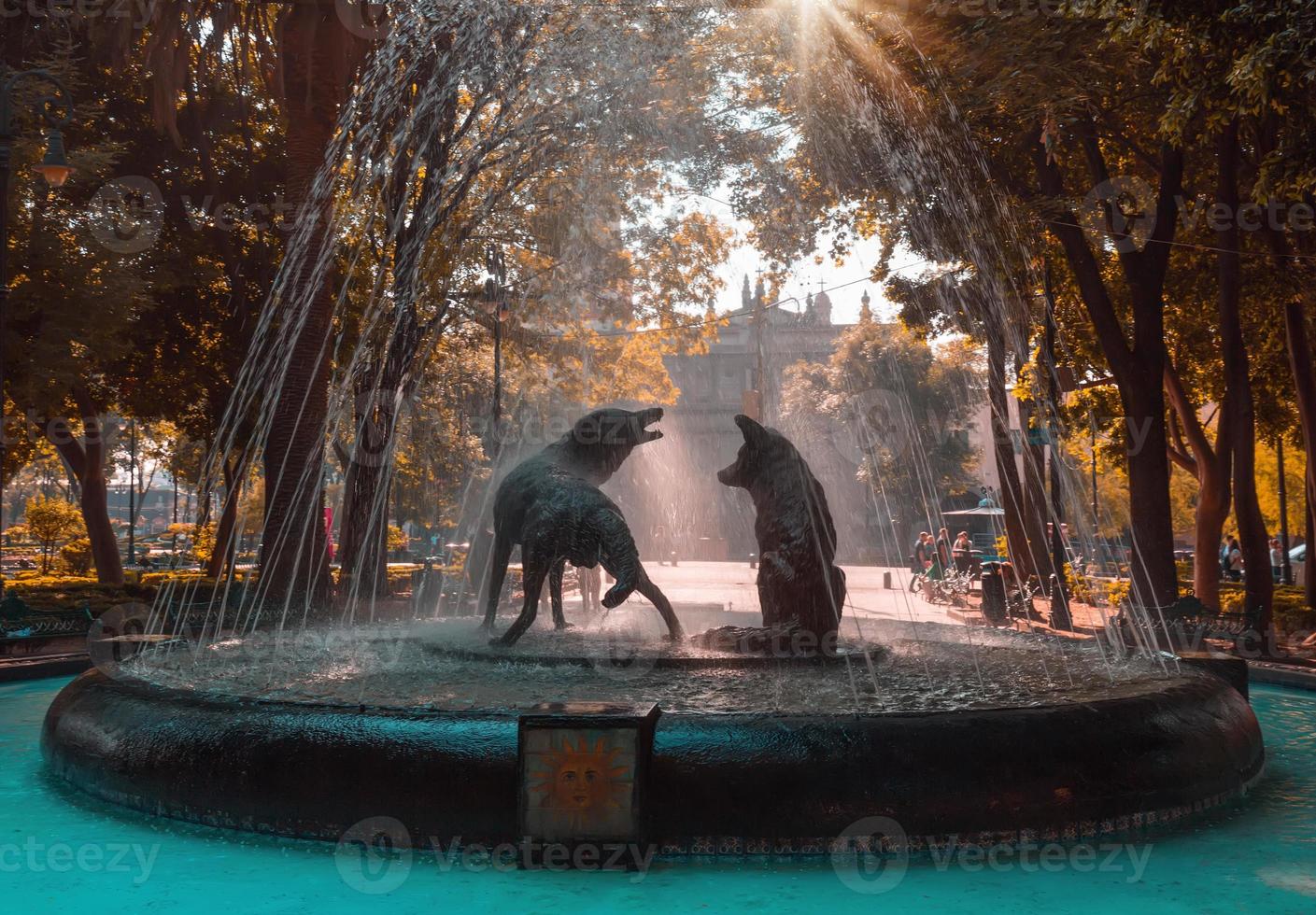 Drinking coyotes statue and fountain in Hidalgo Square in Coyoacan photo