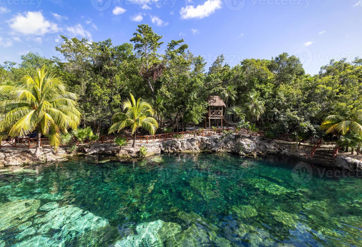 Mexico tourism destination, Cenote Casa Tortuga near Tulum and Playa Del Carmen 6901622 Stock