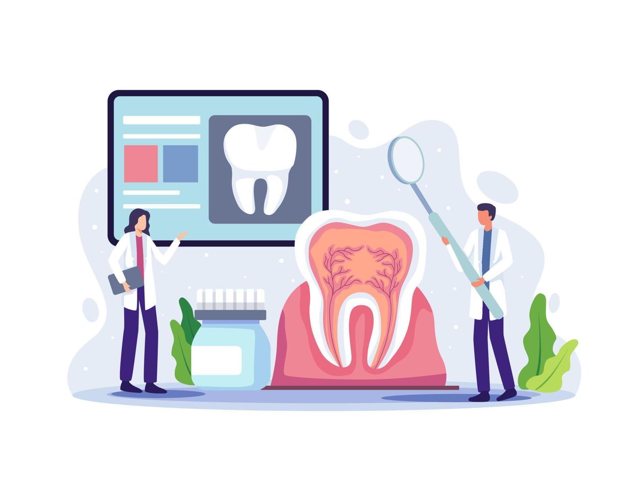 Dental doctor diagnosis and treatment human teeth vector