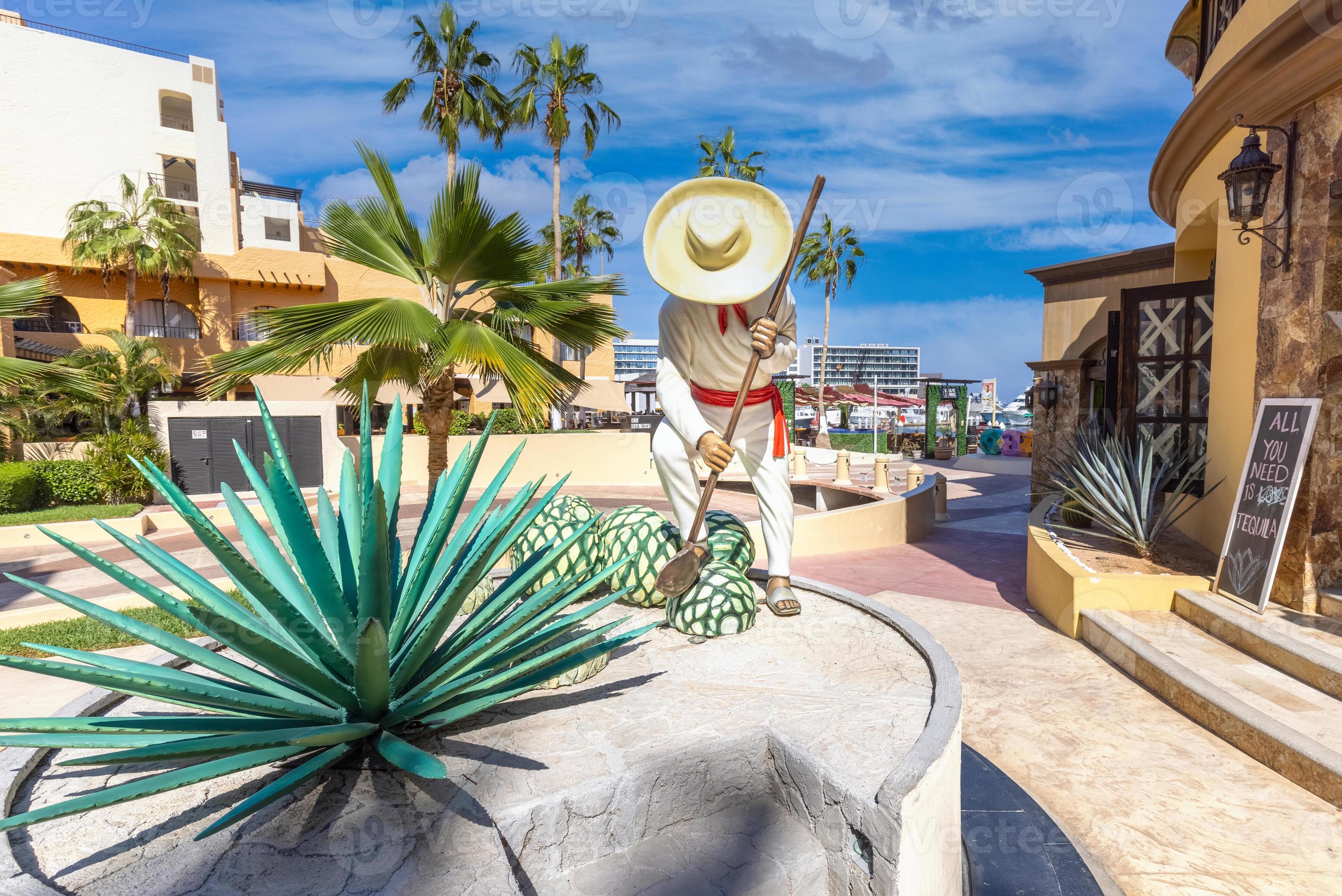 tienda de tequila en la marina de los cabos en cabo san lucas, los cabos, punto de partida de
