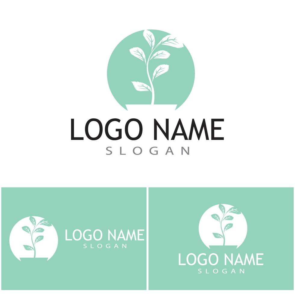 Mint leaves flat vector color icon template illustration design