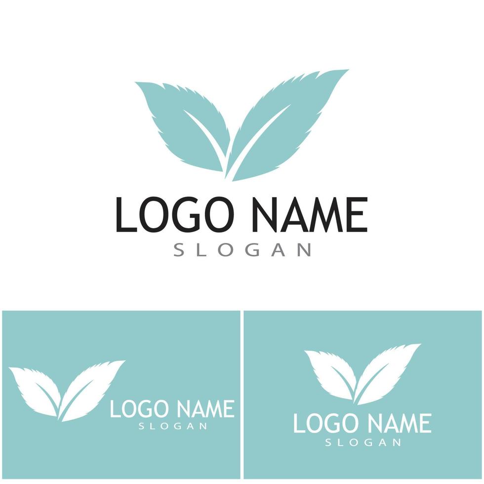 Mint leaves flat vector color icon template illustration design