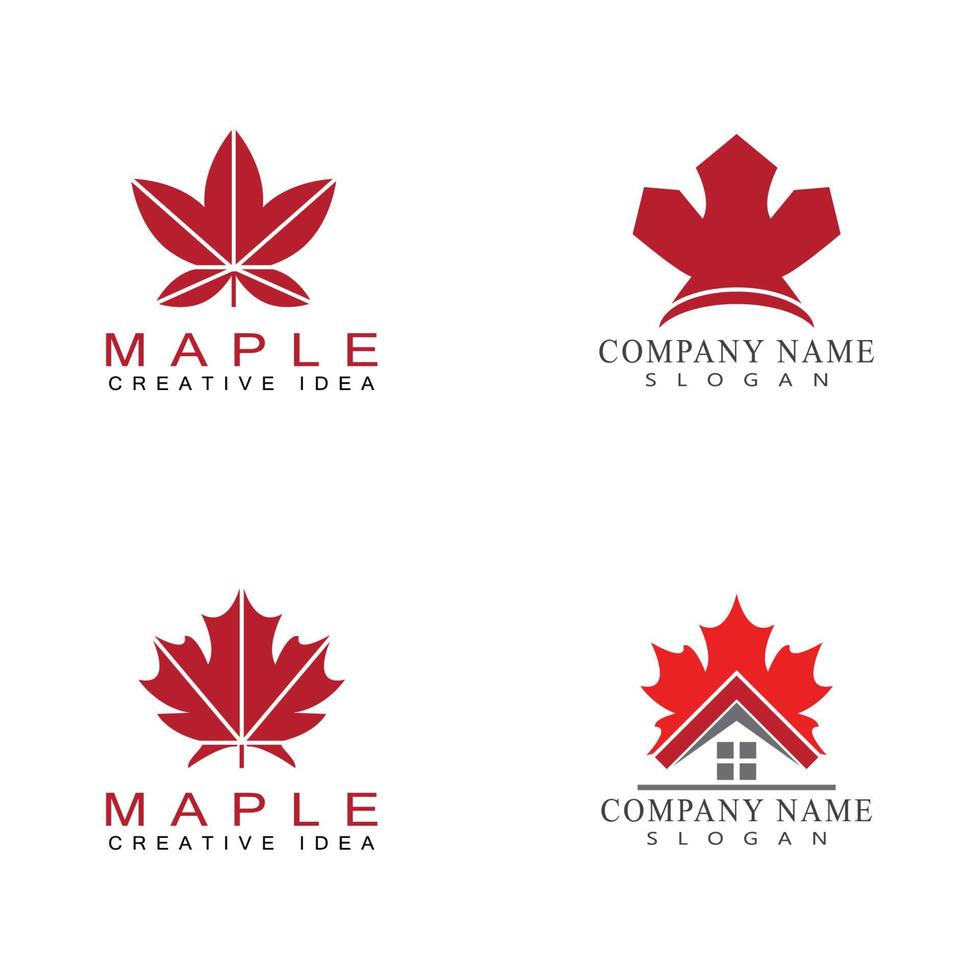 Maple leaf vector illustration design template