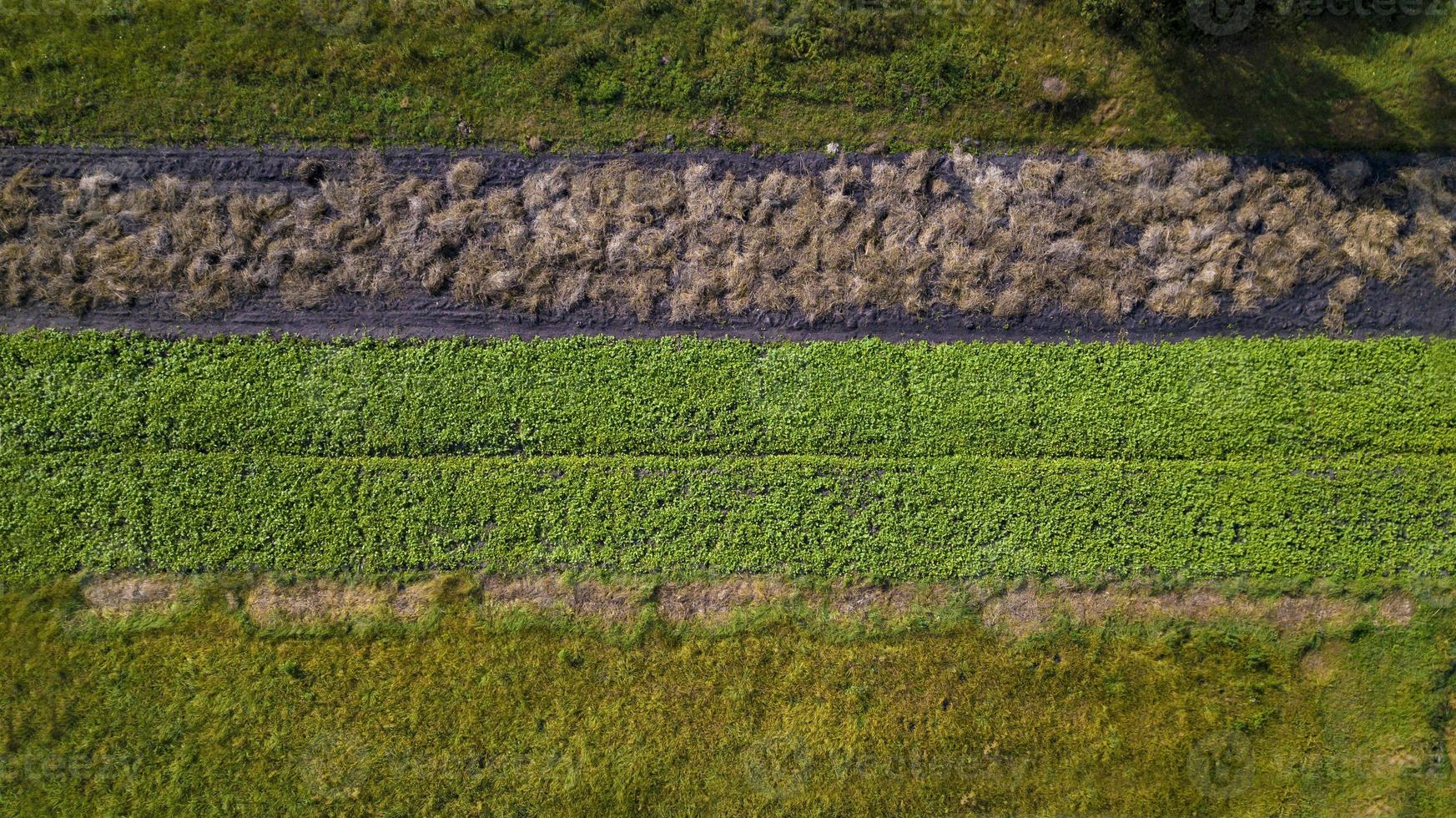 multicolored farm fields top view from a drone photo