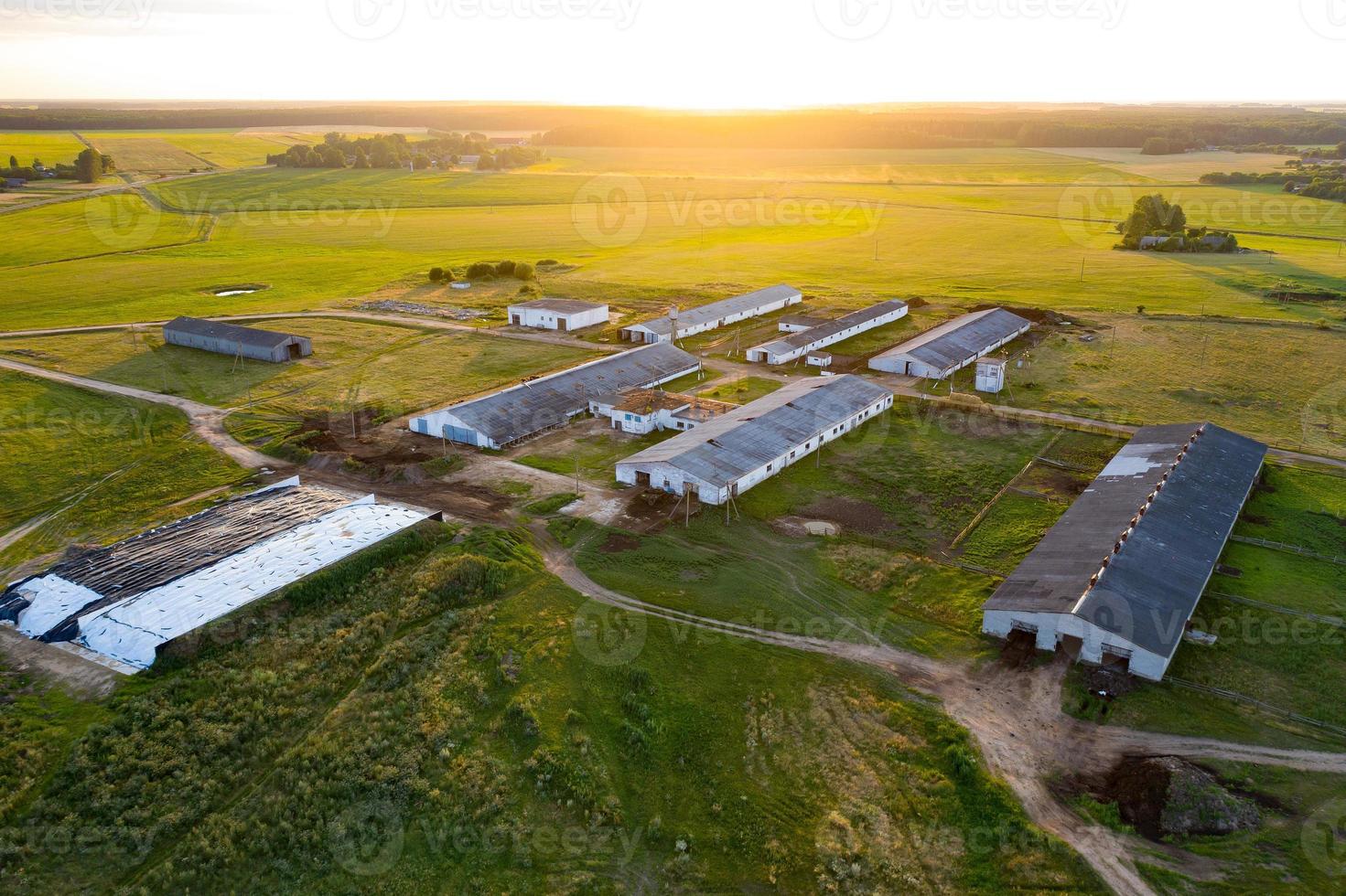 agriculture livestock top view from a drone photo