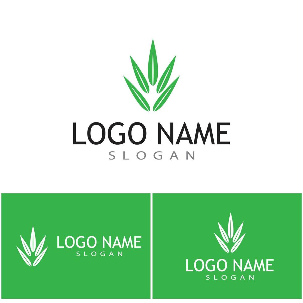 Leaf icon Vector Illustration design Logo template