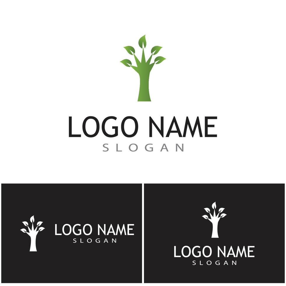 Logos of green Tree leaf ecology nature element vector