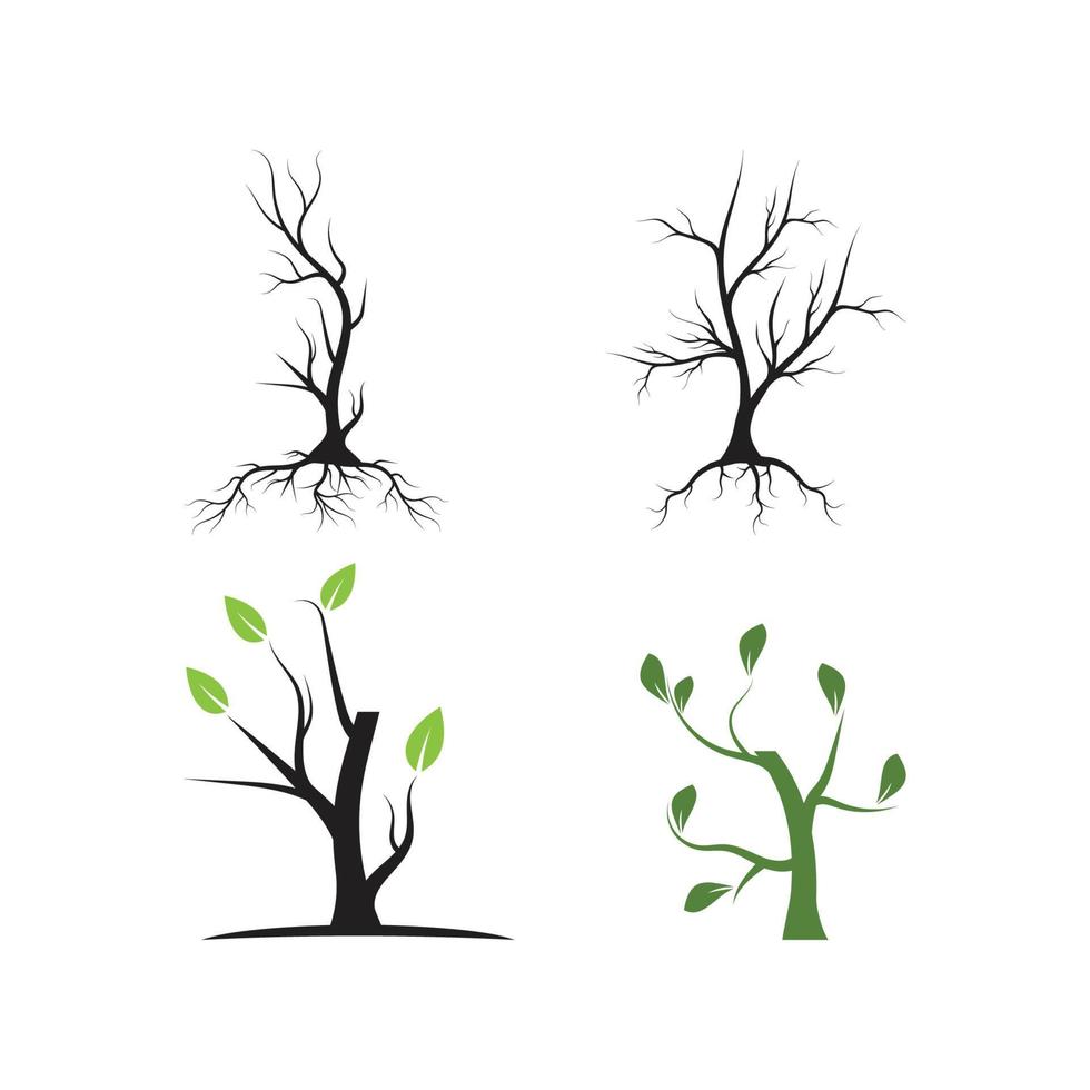 rama árbol vector ilustración verano clipart otoño clipart naturaleza bosque