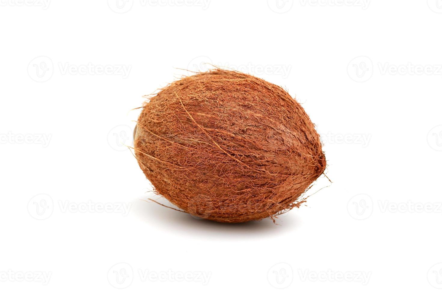 natural coconut isolated in white. Tropical fruit photo