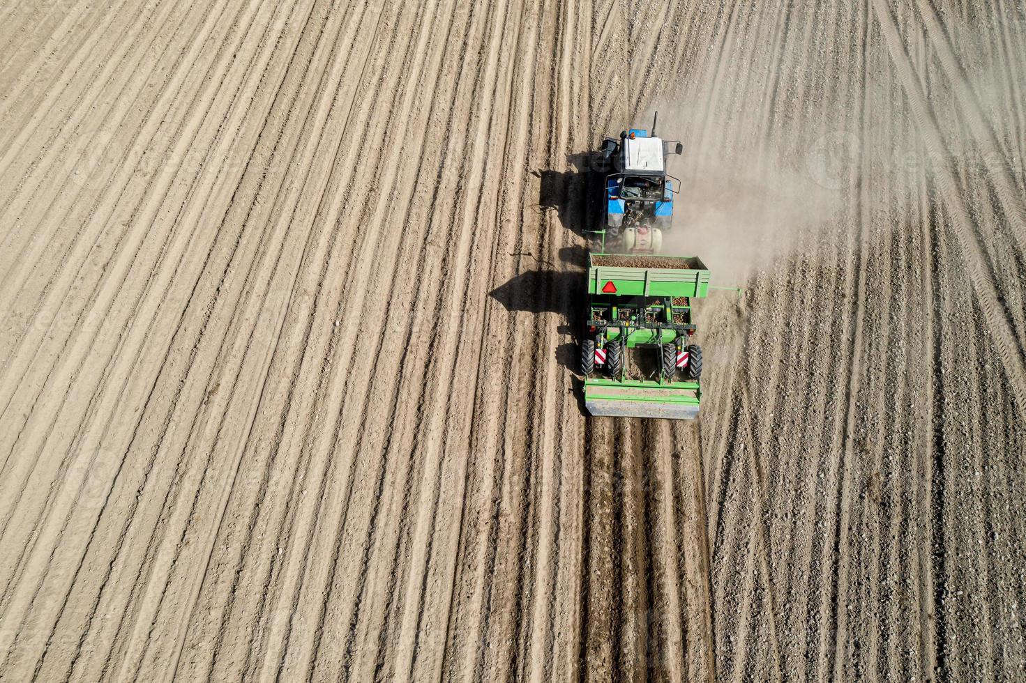 Harvesting potatoes in the fields of a farmer for food. Aerial view. photo