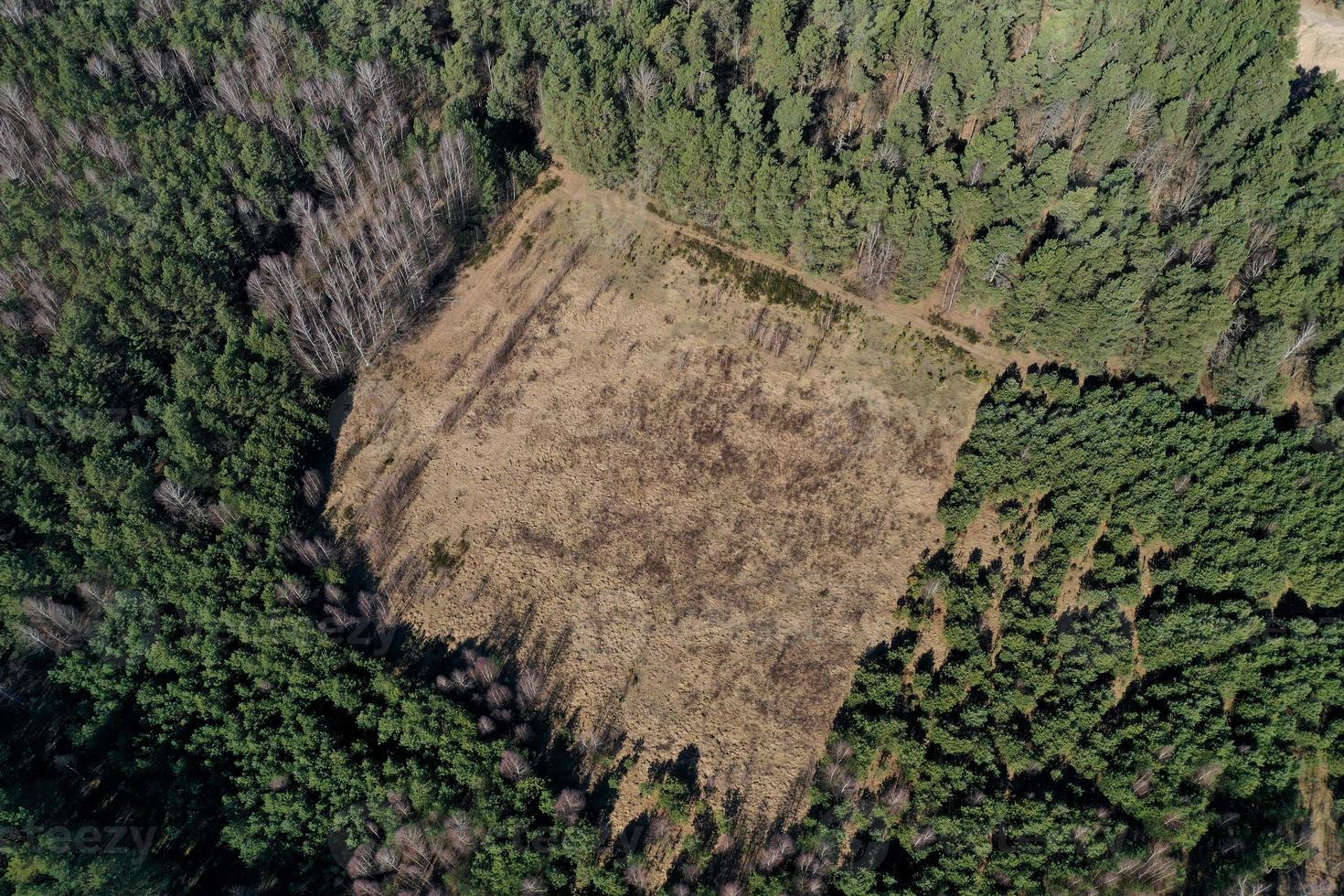 illegal logging aerial view from a drone photo