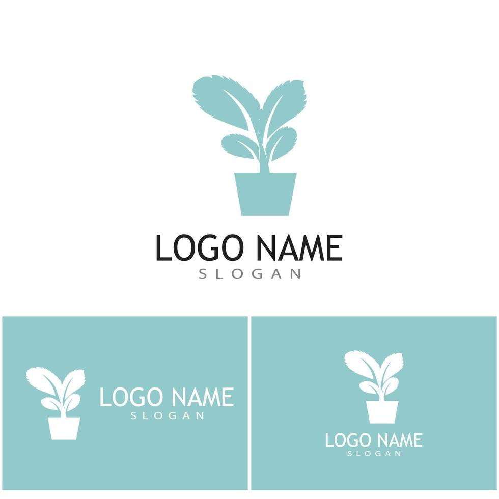 Mint leaves flat vector color icon template illustration design