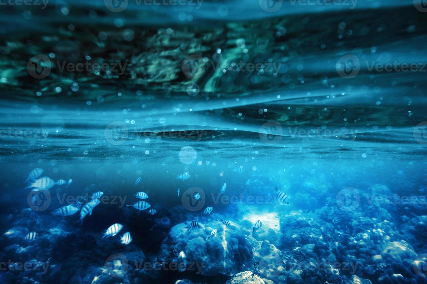 ondulación bajo el agua en el mar tropical con peces en arrecifes de coral foto