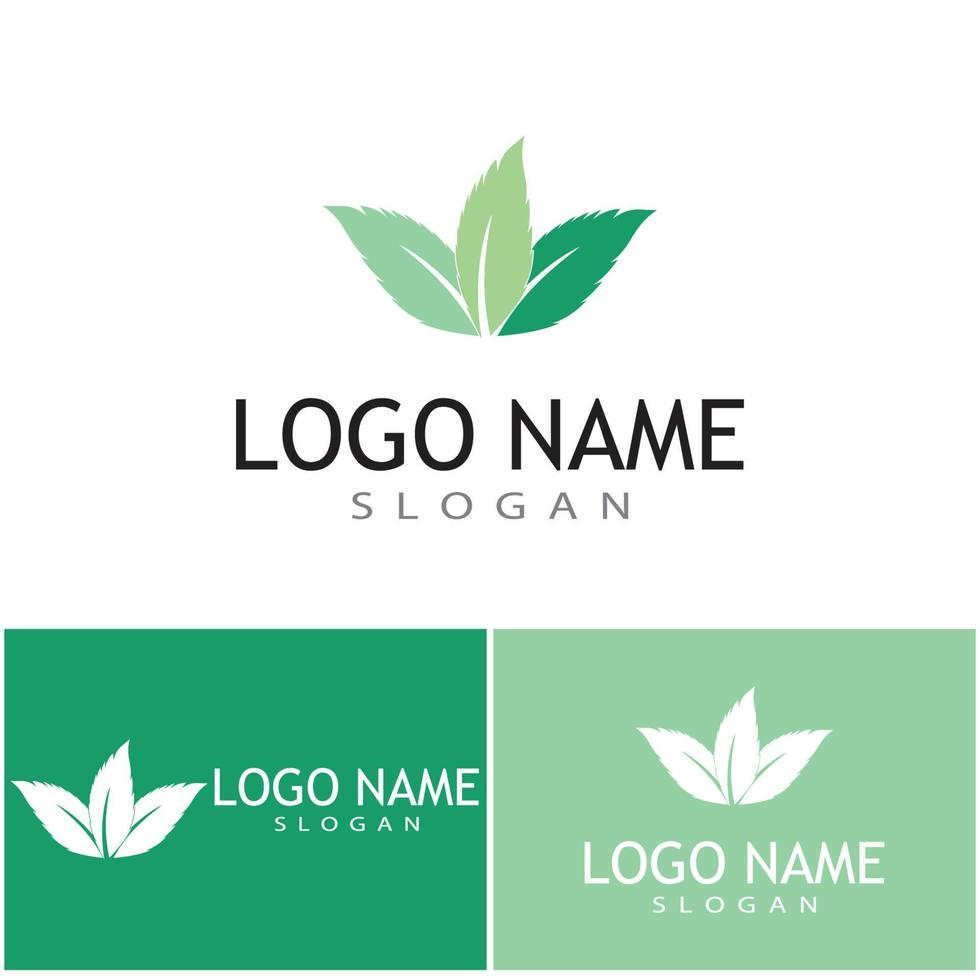 Mint leaves flat vector color icon template illustration design