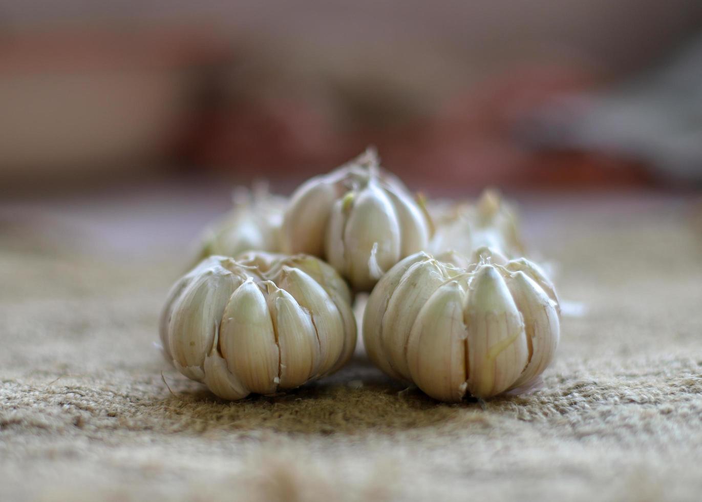 Closeup of fresh garlic photo
