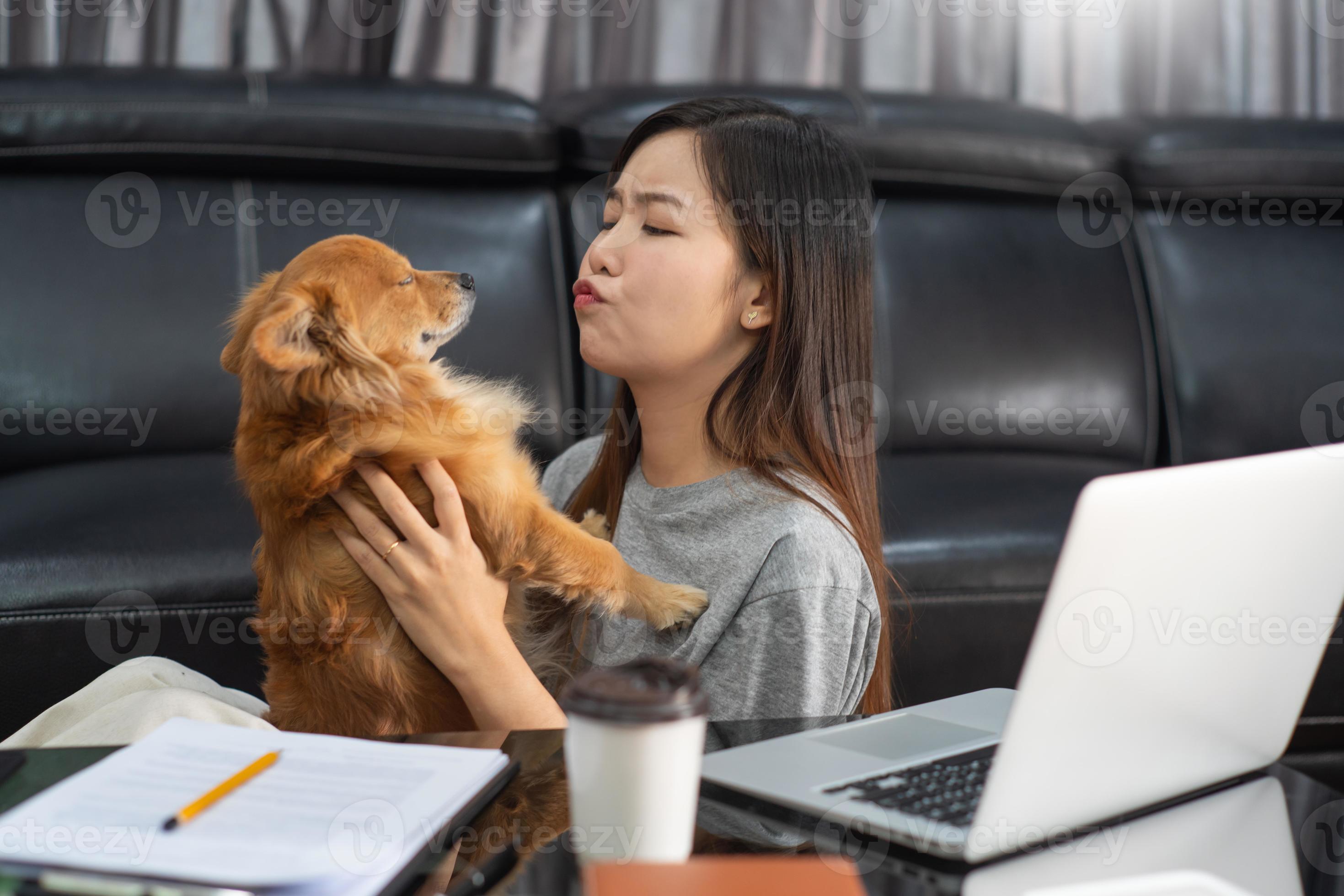 bonita mujer asiática que trabaja de forma remota desde casa usando una computadora portátil sentada en el sofá o en el sofá de la sala de estar para trabajar en línea con un cachorro de mascota lindo perro y guardián, concepto de equilibrio de vida laboral. foto