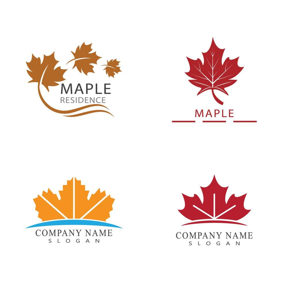 Maple leaf vector illustration design template